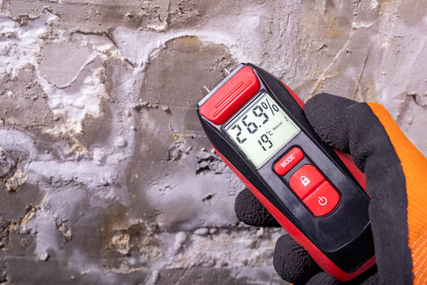 Professional Mold Removal in Graysville, TN