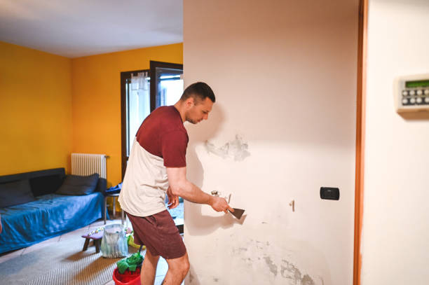 Best Crawl Space Mold Removal  in Graysville, TN
